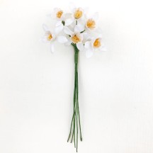 6  White Orange Blossoms ~ 1"